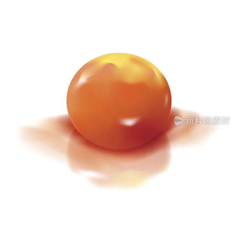Salted egg yolk, Realistic illustration vector and design.